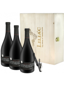 Liliac Pinot Noir Verticala Curtie Lemn | Liliac Winery | Lechinta